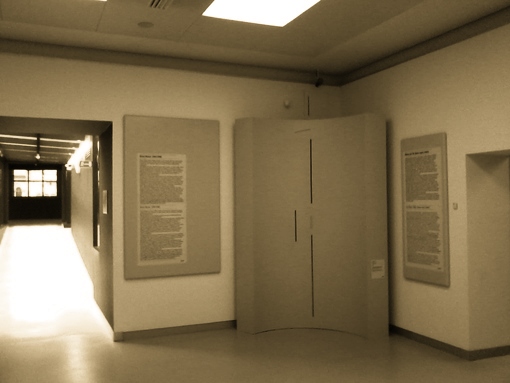 Allestimento Mostra 08-MUSEO-DEL-NOVECENTO-MUNARI-MAROTTA-MIGLIORA-VIALE 01