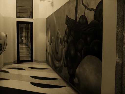 Allestimento Mostra 24-COLLEZIONE-GRASSI 02