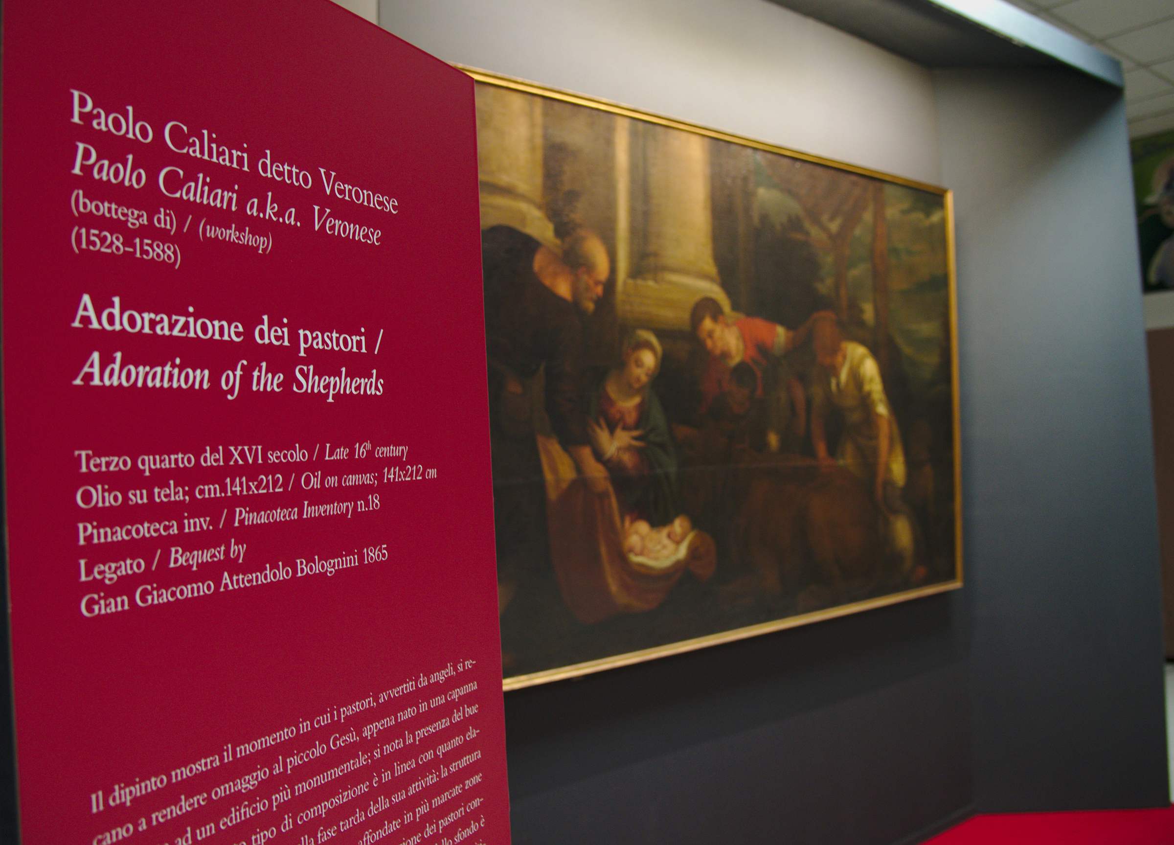 Nexhibit Design allestimento mostra DAL-MARMO-AL-MISSILE